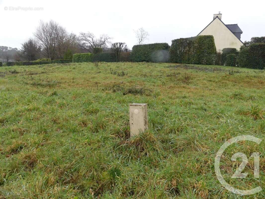 Terrain 1357 m² à Allaire  - photo 7