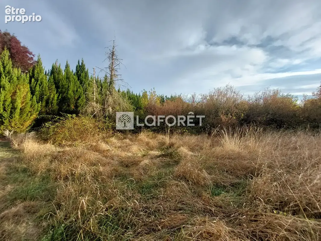 Terrain 630 m2 + Projet de Construction Maison 102 m2 à Vigy Parcelle n° 2 - photo 6