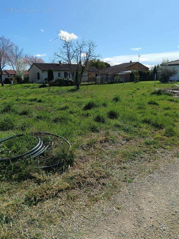 Terrain à GAILLAC