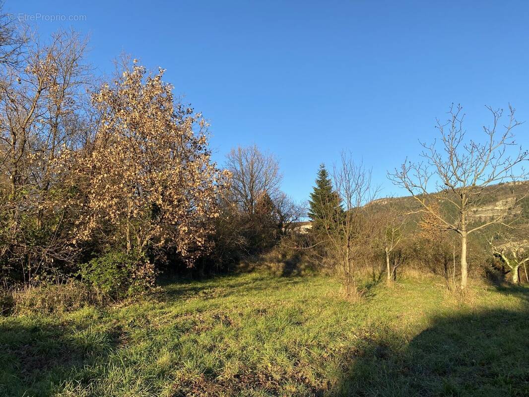 Terrain à VESSEAUX