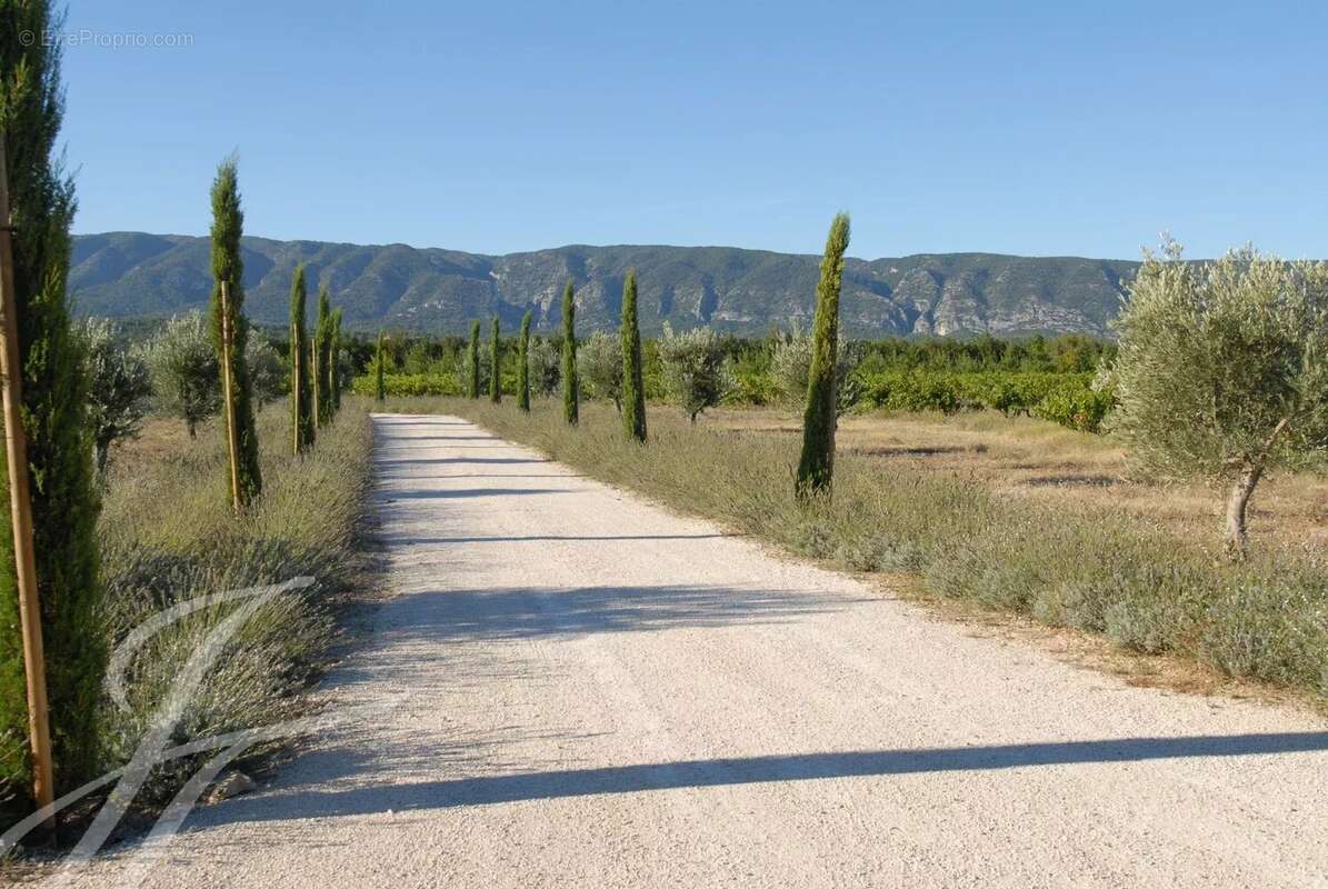 Mas en pierre à vendre proche de Gordes : Charme provençal, volumes exceptionnels et vue sur le Luberon - photo 13