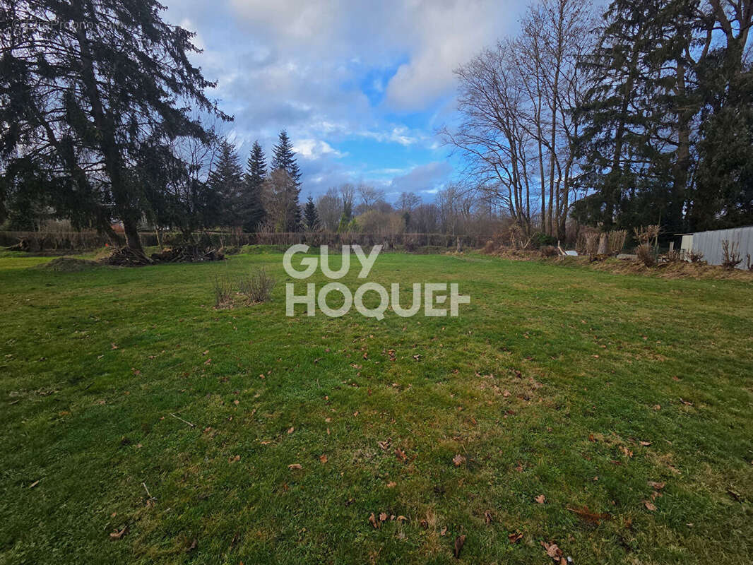 Terrain à BOSC-BENARD-CRESCY