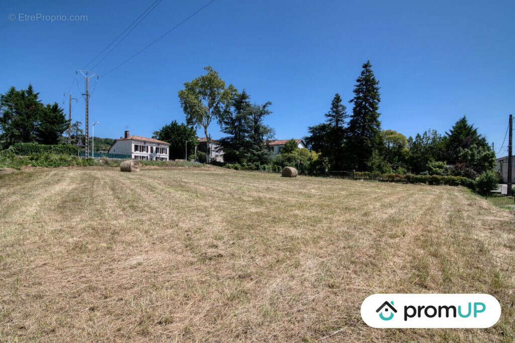 Terrain à MALAUSE
