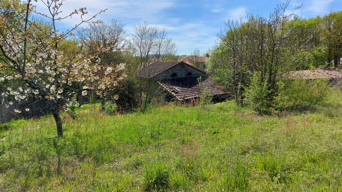 Terrain à MOUCHAMPS