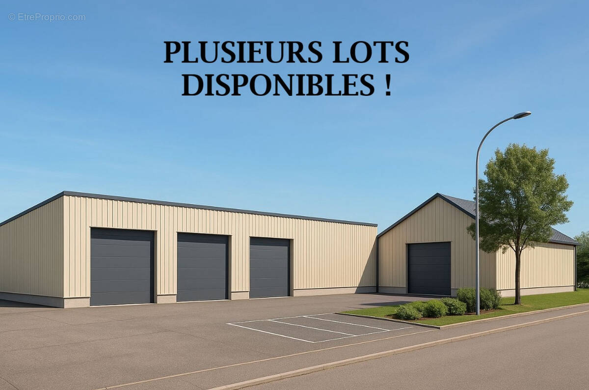 Commerce à DUTTLENHEIM