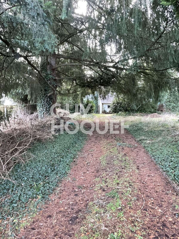 Longere a vendre a bois le roi - photo 13