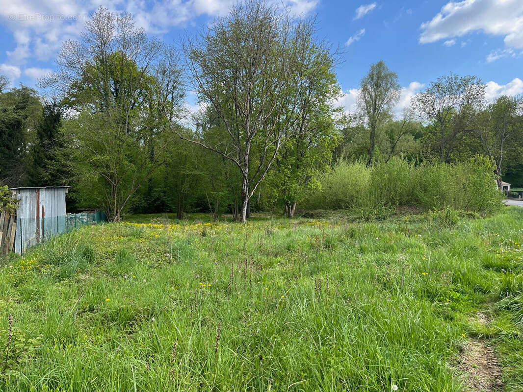 Terrain à SAINT-ETIENNE-ROILAYE