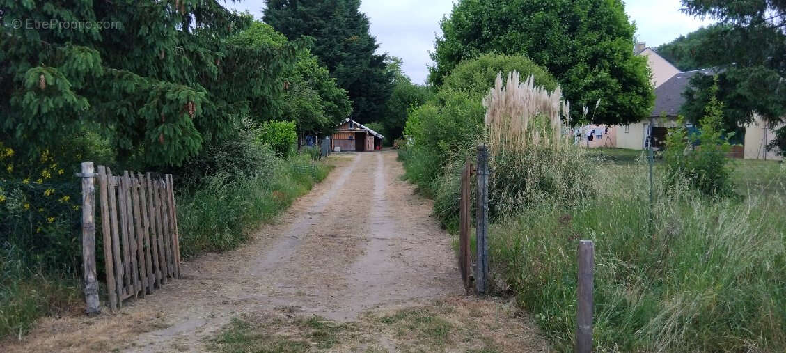 Terrain à LES BORDES