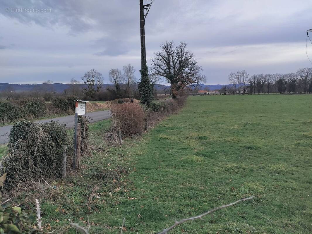Terrain à CREUZIER-LE-VIEUX