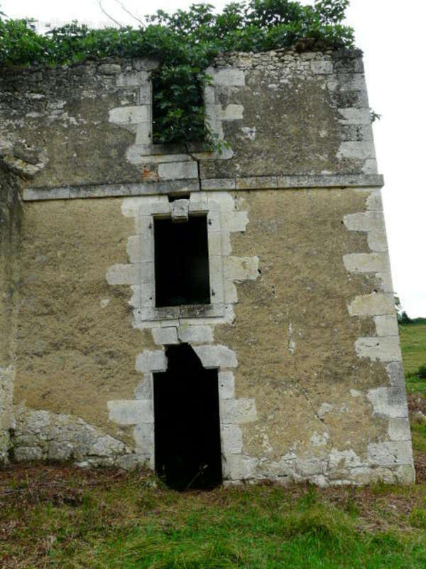 Ancienne Maison de Maître terre et bois 6 Ha - photo 15