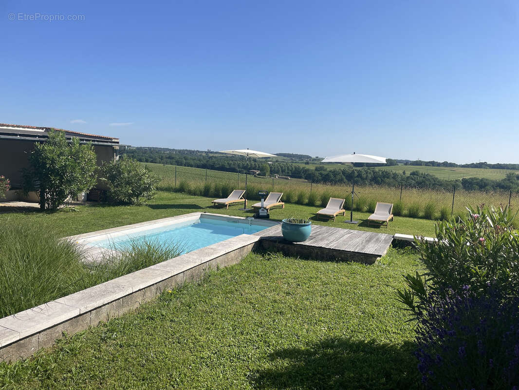 Paradis caché au milieu des vignes - photo 4