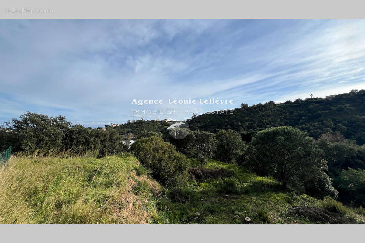 Terrain à LES ISSAMBRES