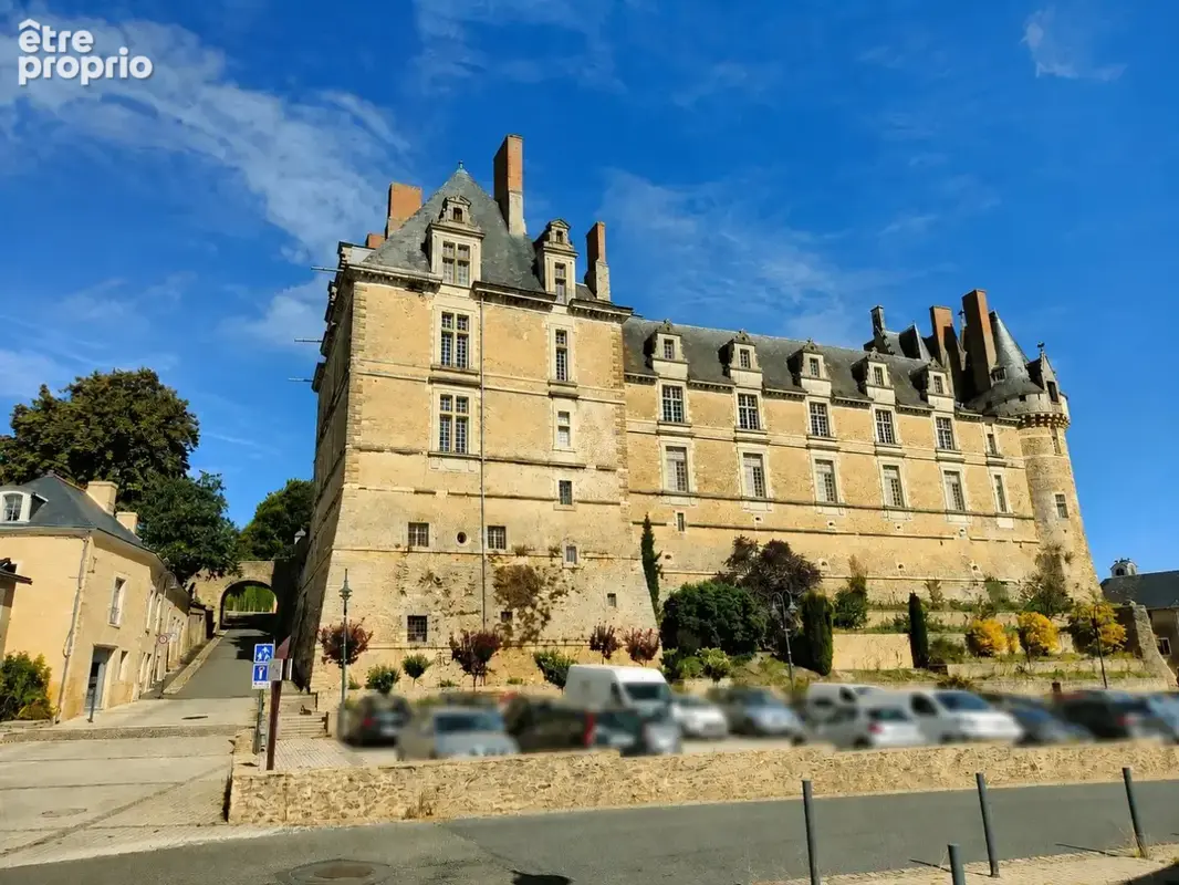 DURTAL  Élégante maison de maître au pied du château, avec accès au Loir - photo 3