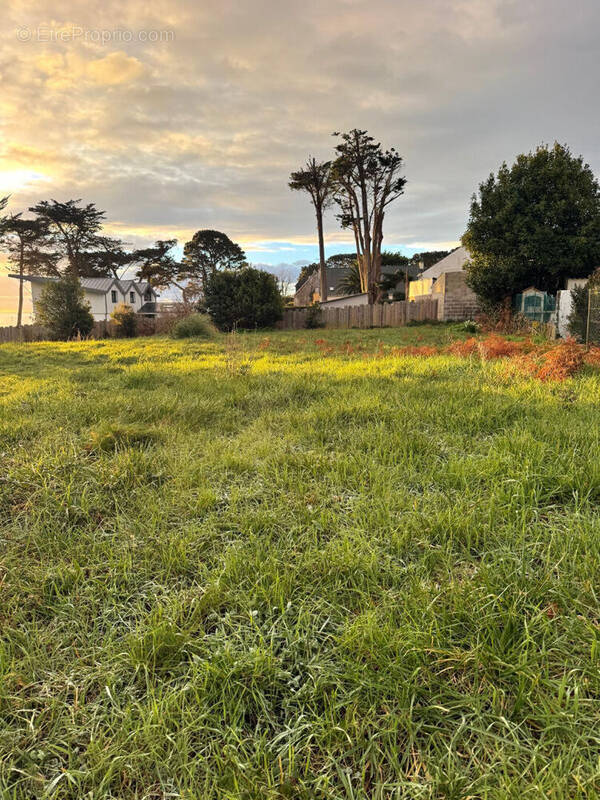 Terrain à SAINT-PIERRE-QUIBERON