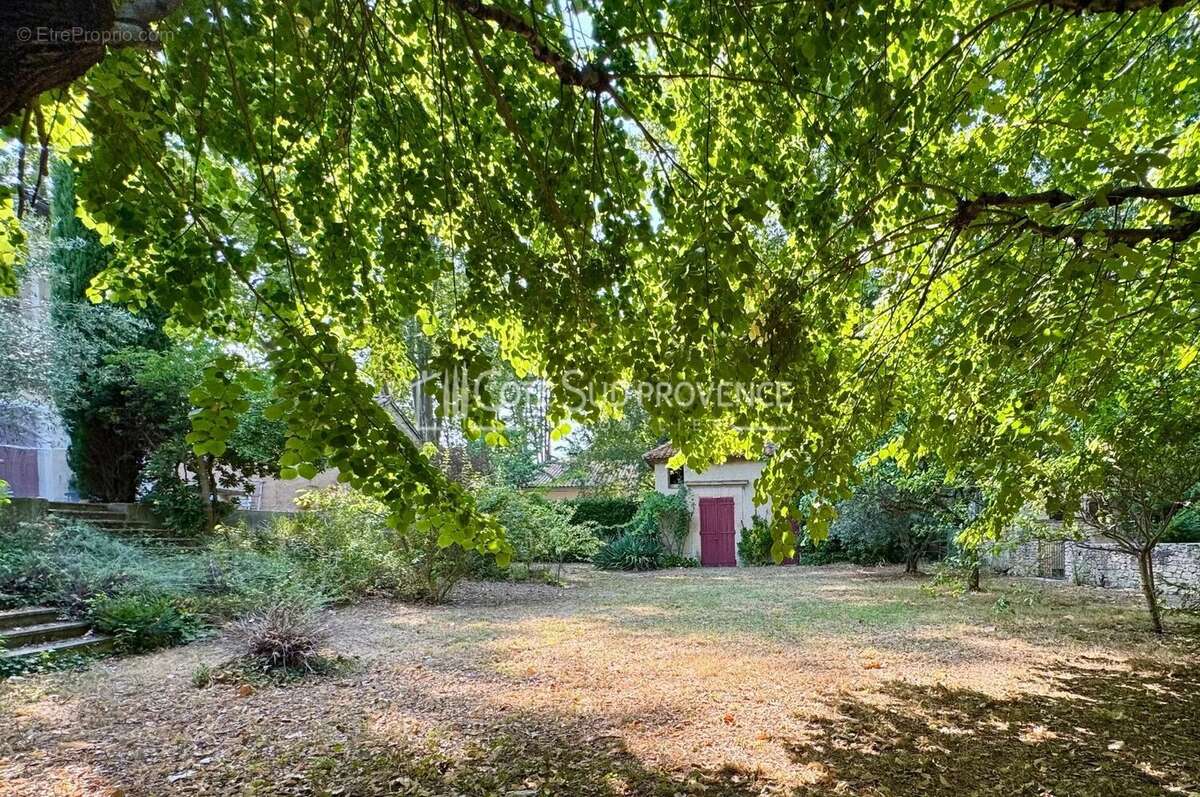 Exclusivite  - saint-didier - maison de maître xixéme - photo 21