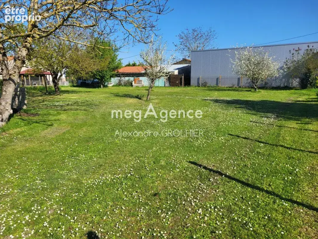 Terrain 539 m² à vendre à Medis (17600) - photo 4