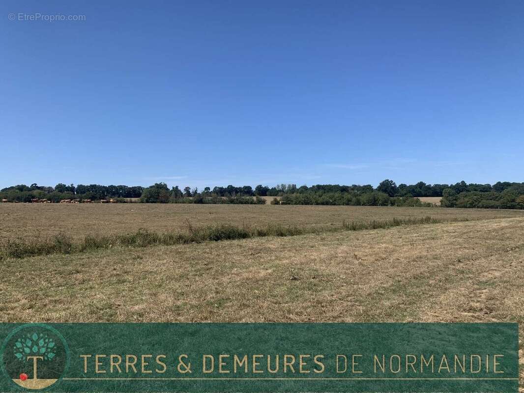 A VENDRE en NORMANDIE dans le département du CALVADOS région LE MOLAY-LITRY (14330) une exploitation agricole herbagère d'une su - photo 19