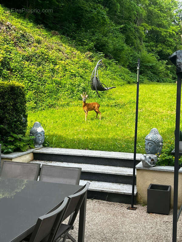 Maison à MERY-SUR-OISE