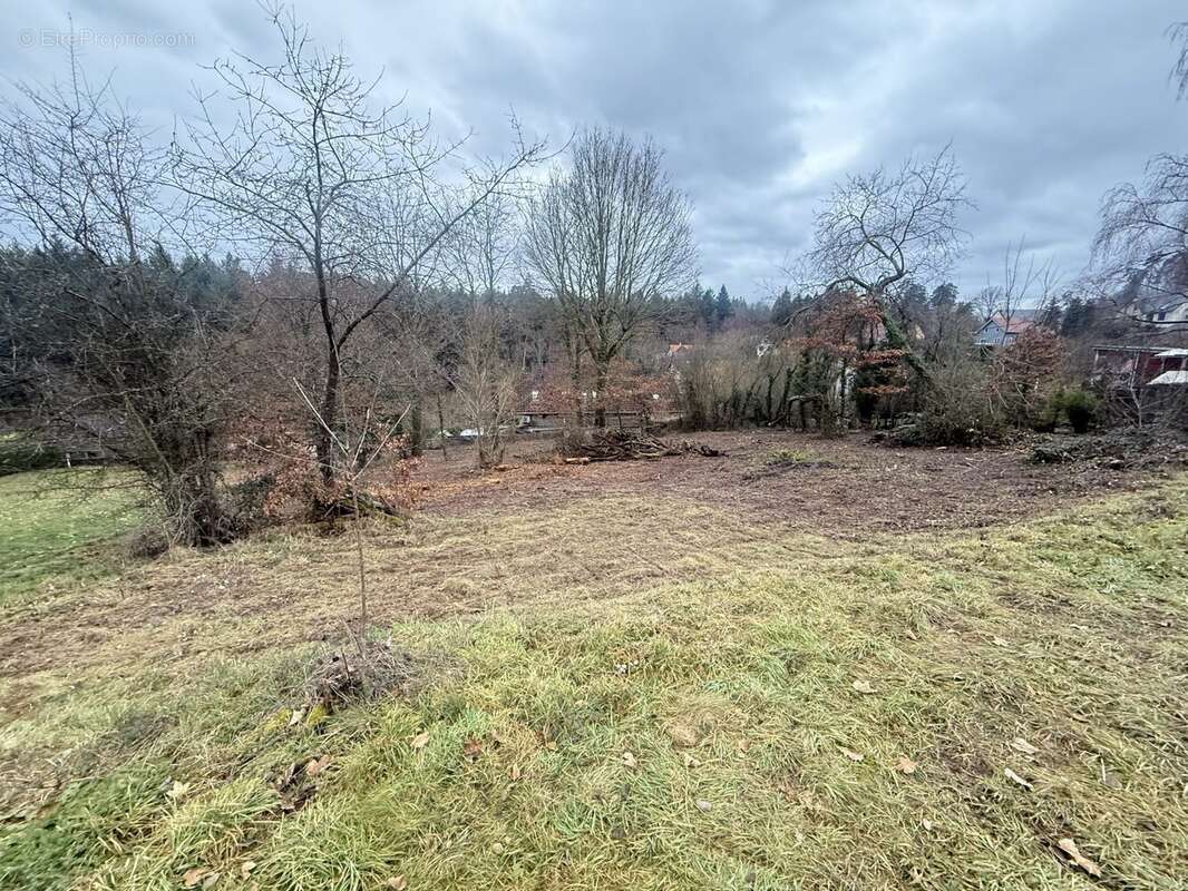 Terrain à OBERHASLACH