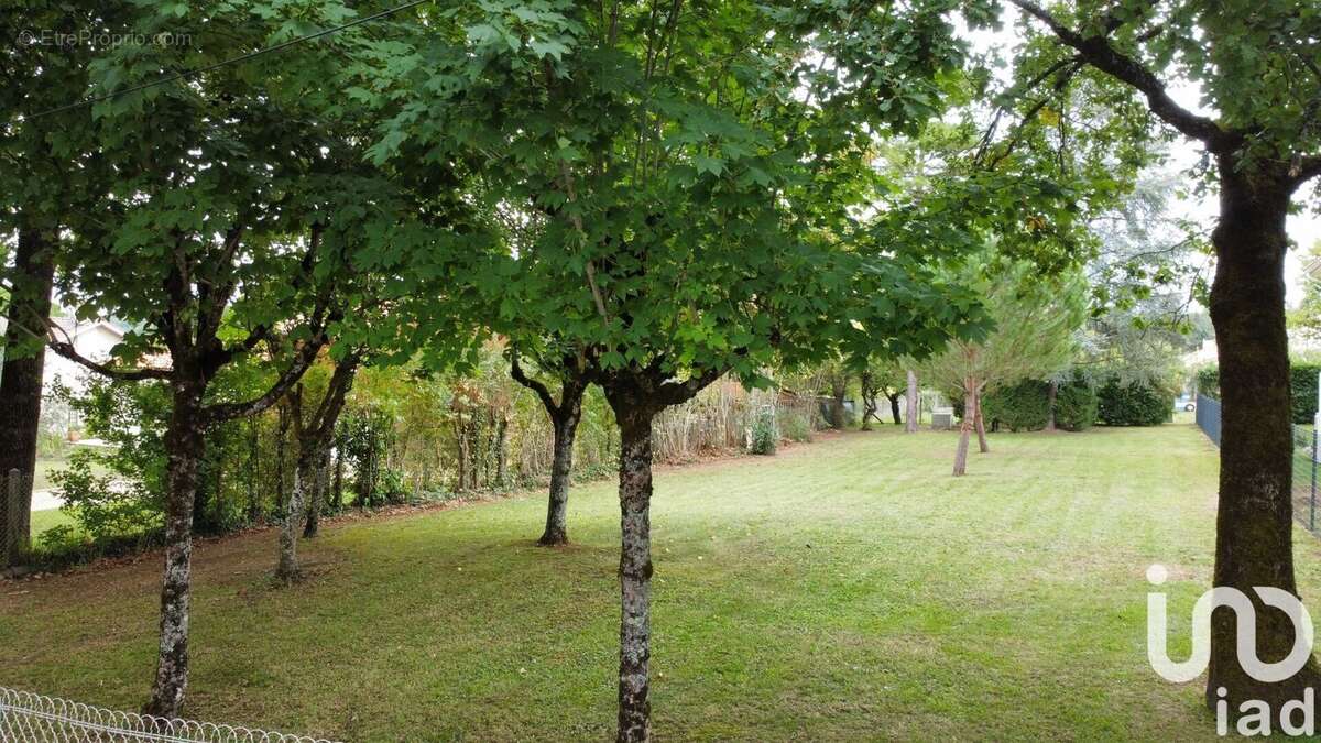 Photo 5 - Terrain à PUYMOYEN