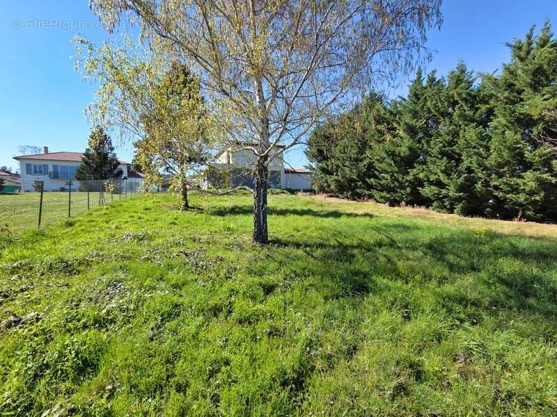 EXCLUSIVITE / Terrain à vendre de 866,00 m² BILLOM (63) - photo 2