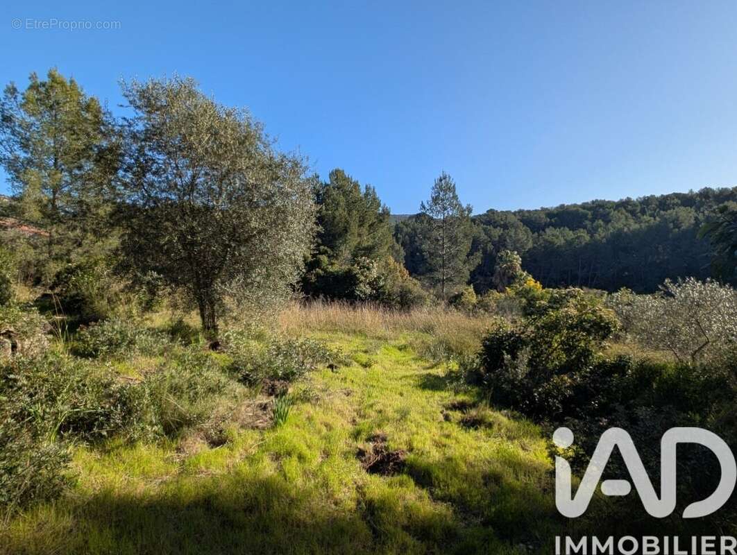 Photo 4 - Maison à SANARY-SUR-MER