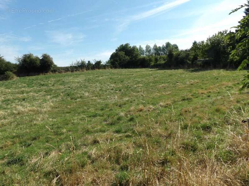 Maison à SAINTE-THERENCE