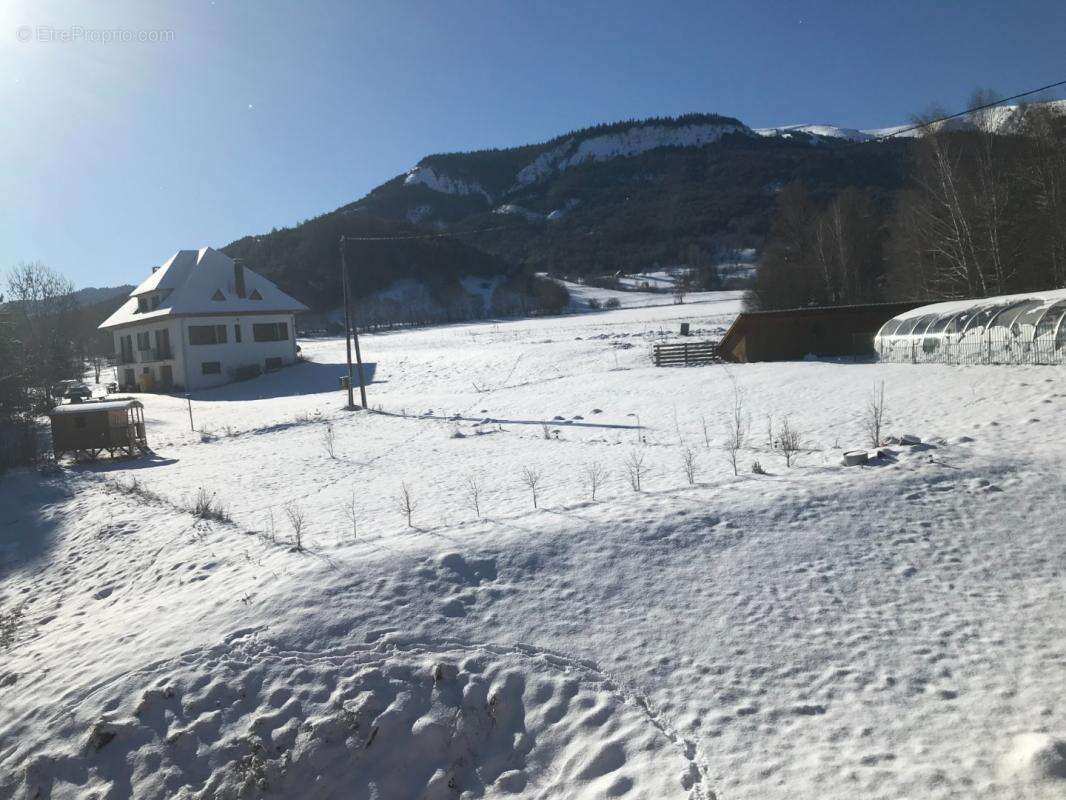 Commerce à SELONNET