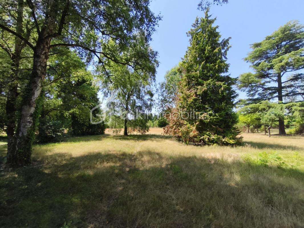 Terrain 4330 m² à Saint-Gondon  - photo 8