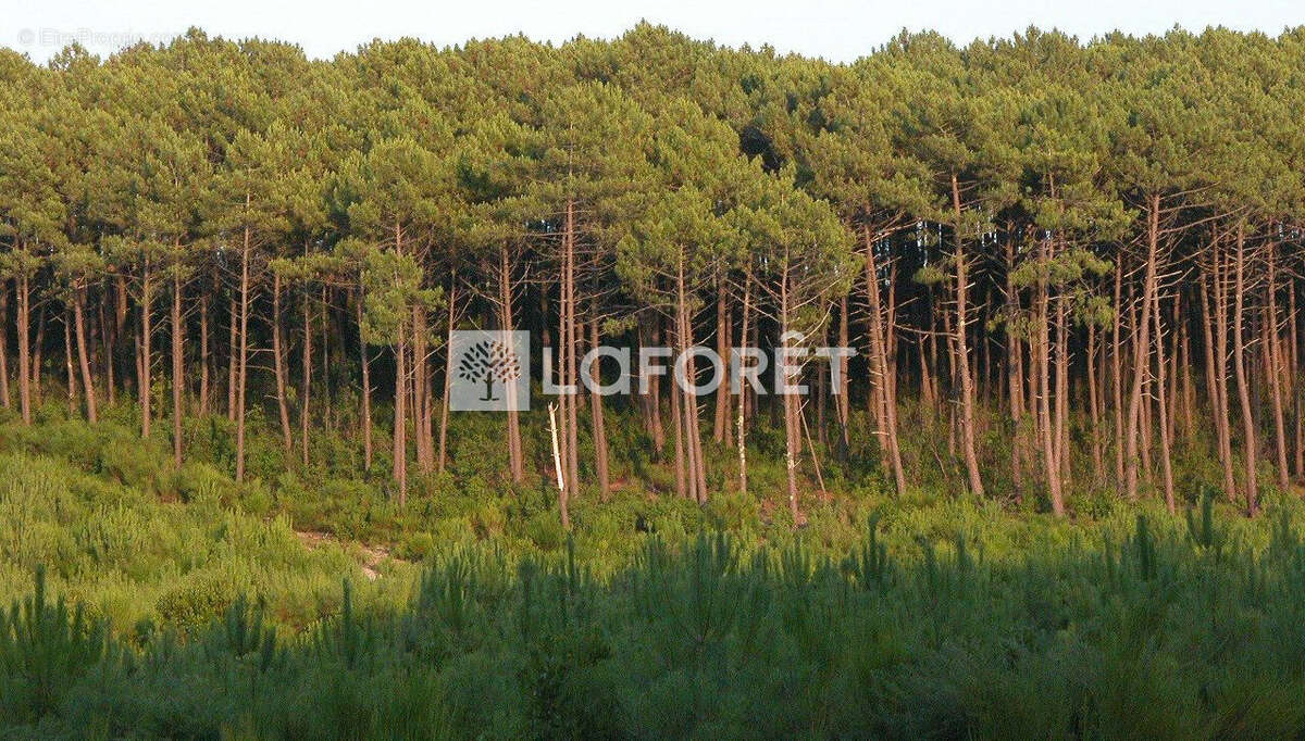 Appartement à SAINT-JEAN-D&#039;ILLAC