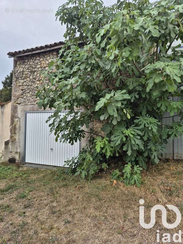 Photo 3 - Parking à MIRAMBEAU