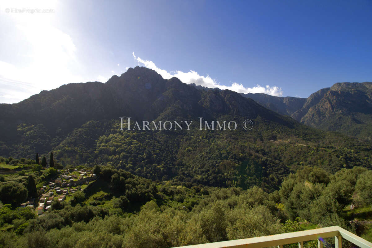 Exclusivité : Immeuble Ota  Vue Montagne Imprenable Fort Potentiel Locatif - photo 11