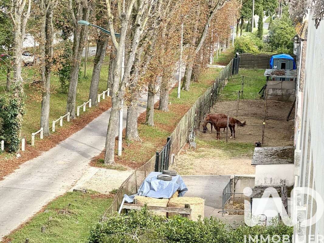 Photo 7 - Appartement à MAISONS-LAFFITTE