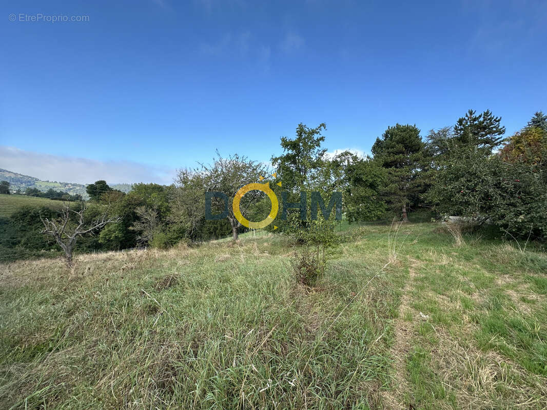 Terrain à UNIEUX
