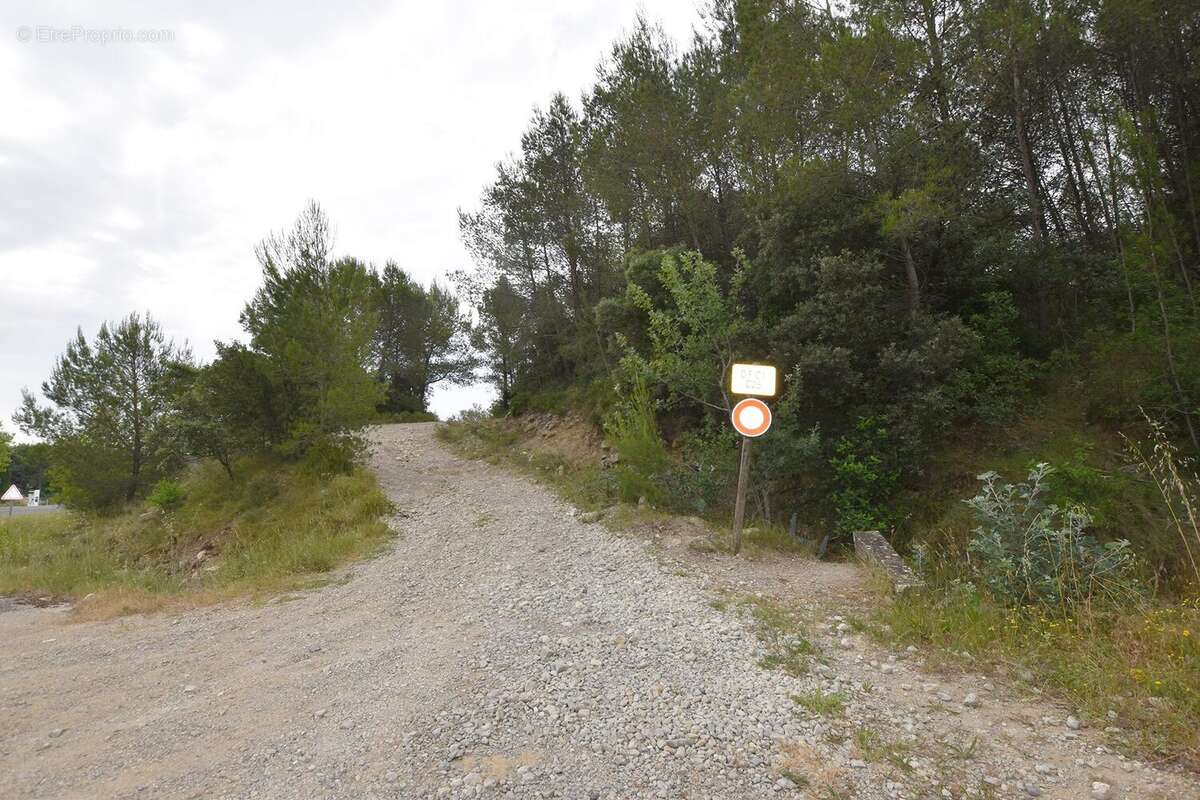 BOS NEGRE  - Terrain à VIC-LE-FESQ