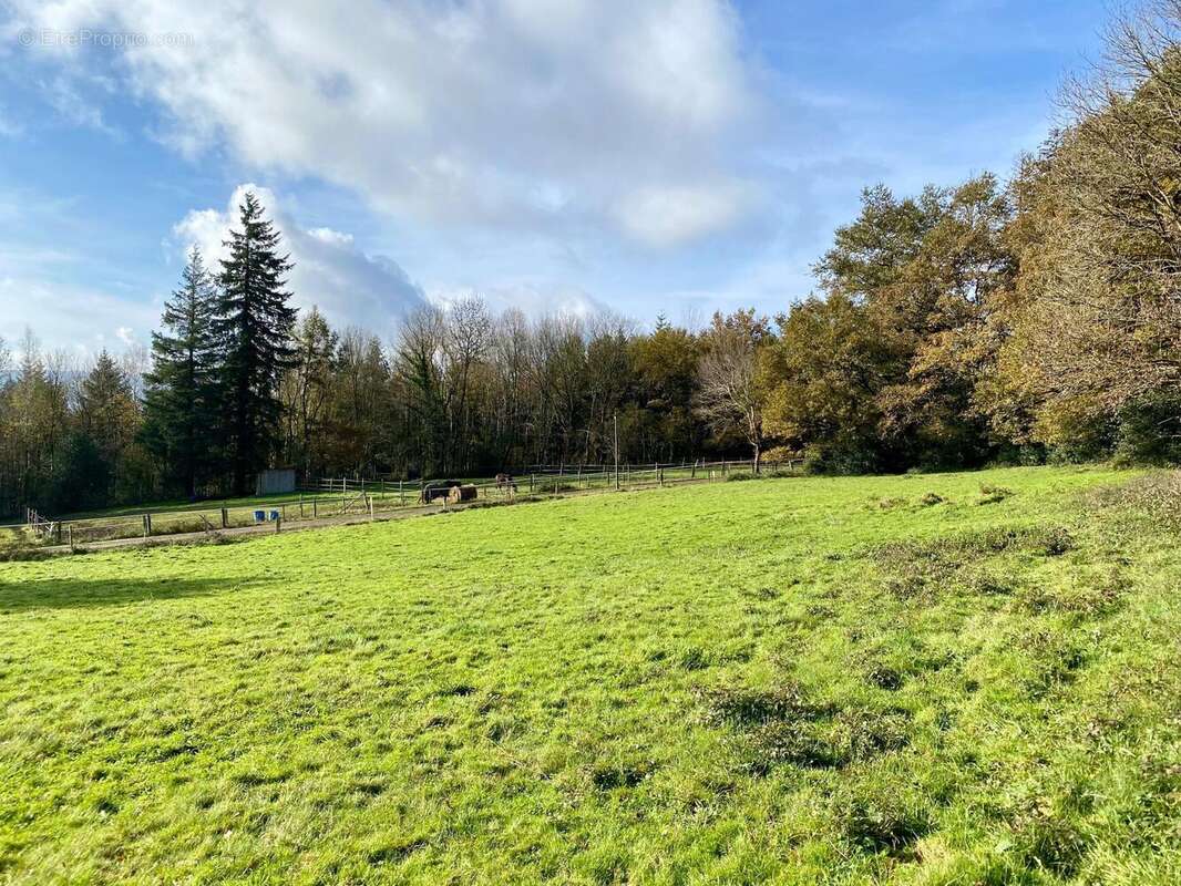 Photo 8 - Terrain à PONT-DE-LARN