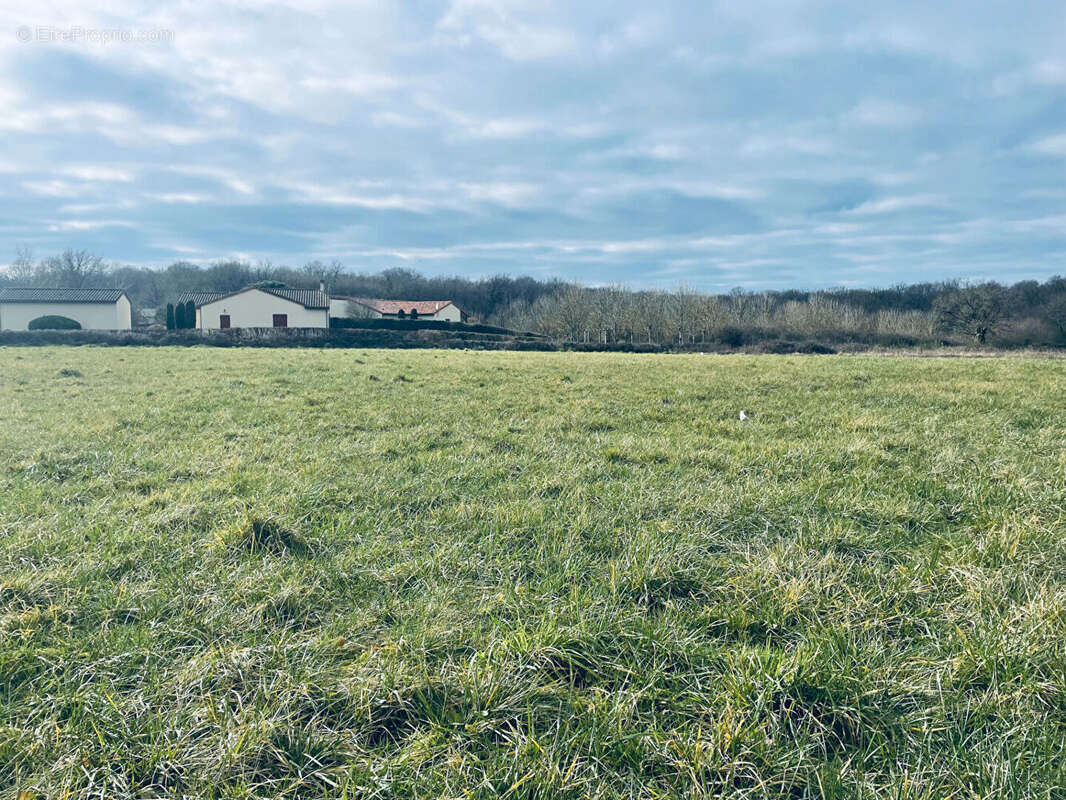 Terrain à LES FORGES