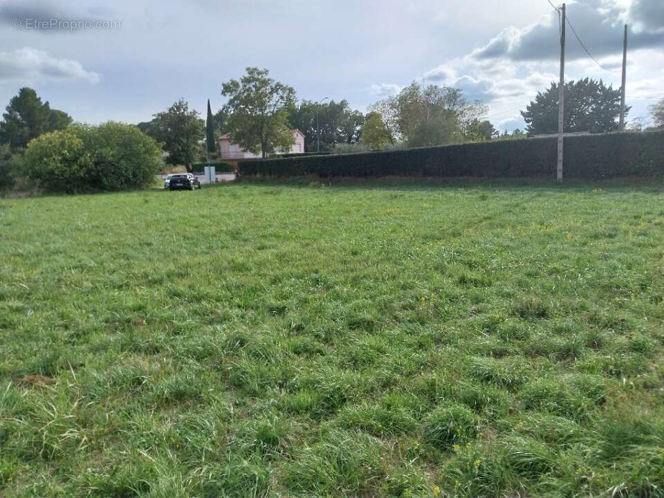 Terrain à AUPS