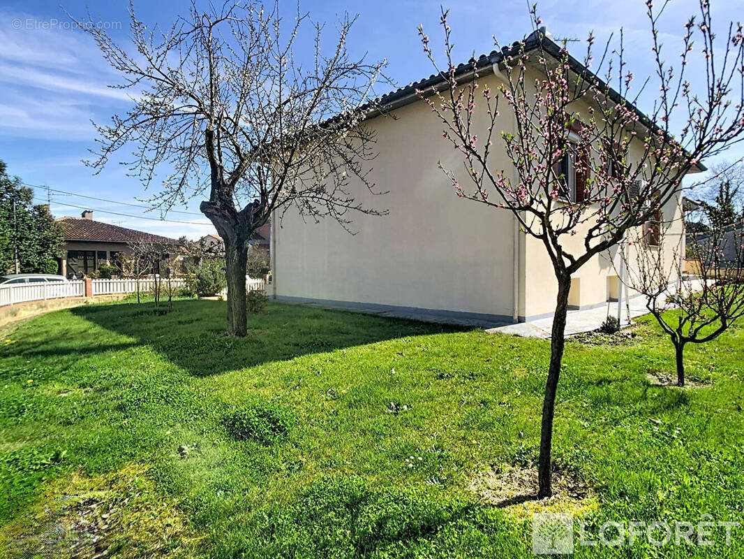 Maison à SAINT-JEAN