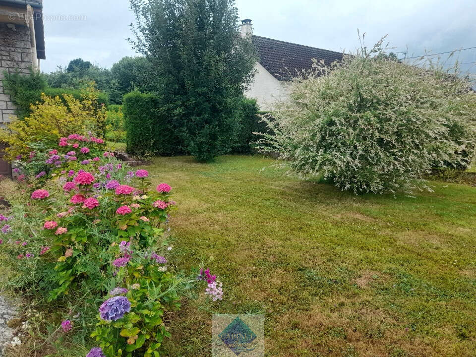 Maison à LE MESNIL-REAUME