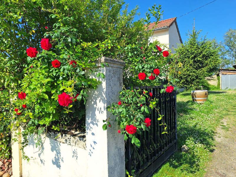 Maison à RISCLE