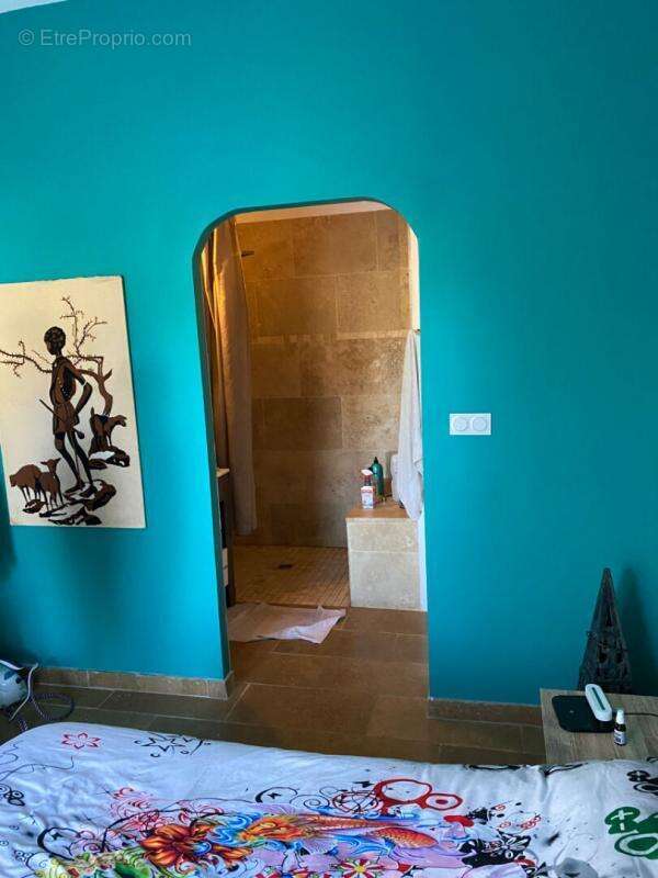 Maison à BRAS-D&#039;ASSE