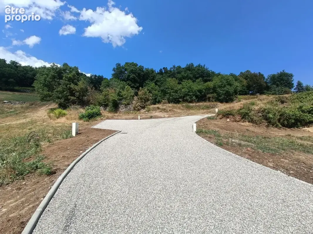 Terrain