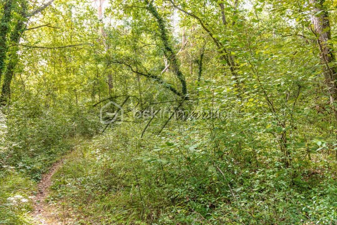 Terrain à NANTEAU-SUR-LUNAIN