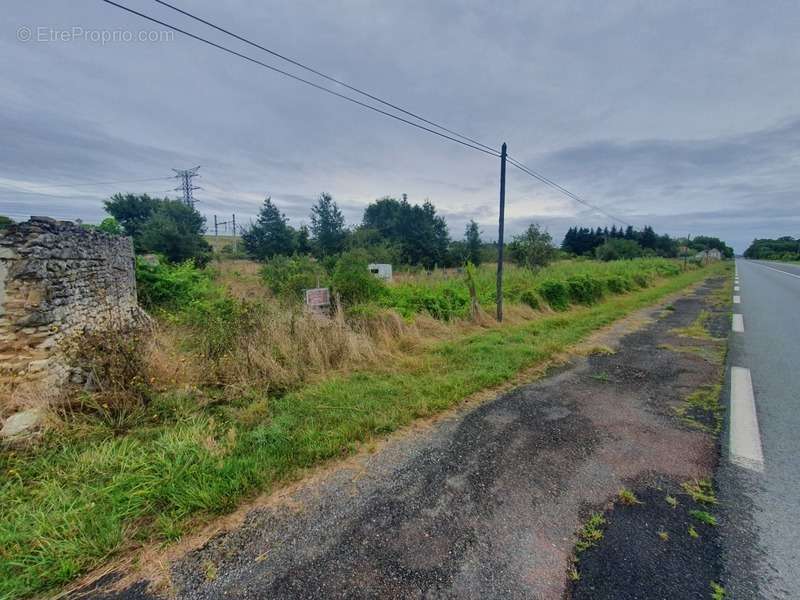 Terrain à LES ORMES