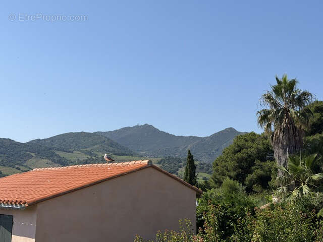 Maison à COLLIOURE