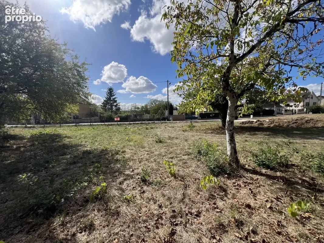 Terrain 2 493 m² à vendre à Briare (45250) - photo 3