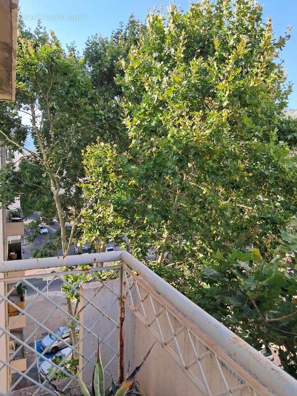 Photo 8 - Appartement à TOULON