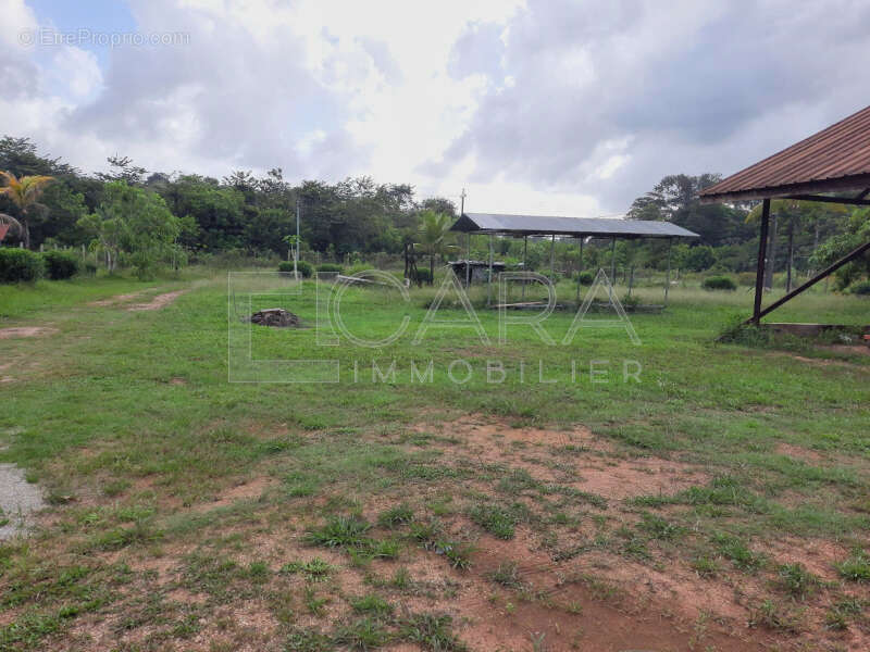 IMG-20241205-WA0003_lzn - Terrain à MACOURIA