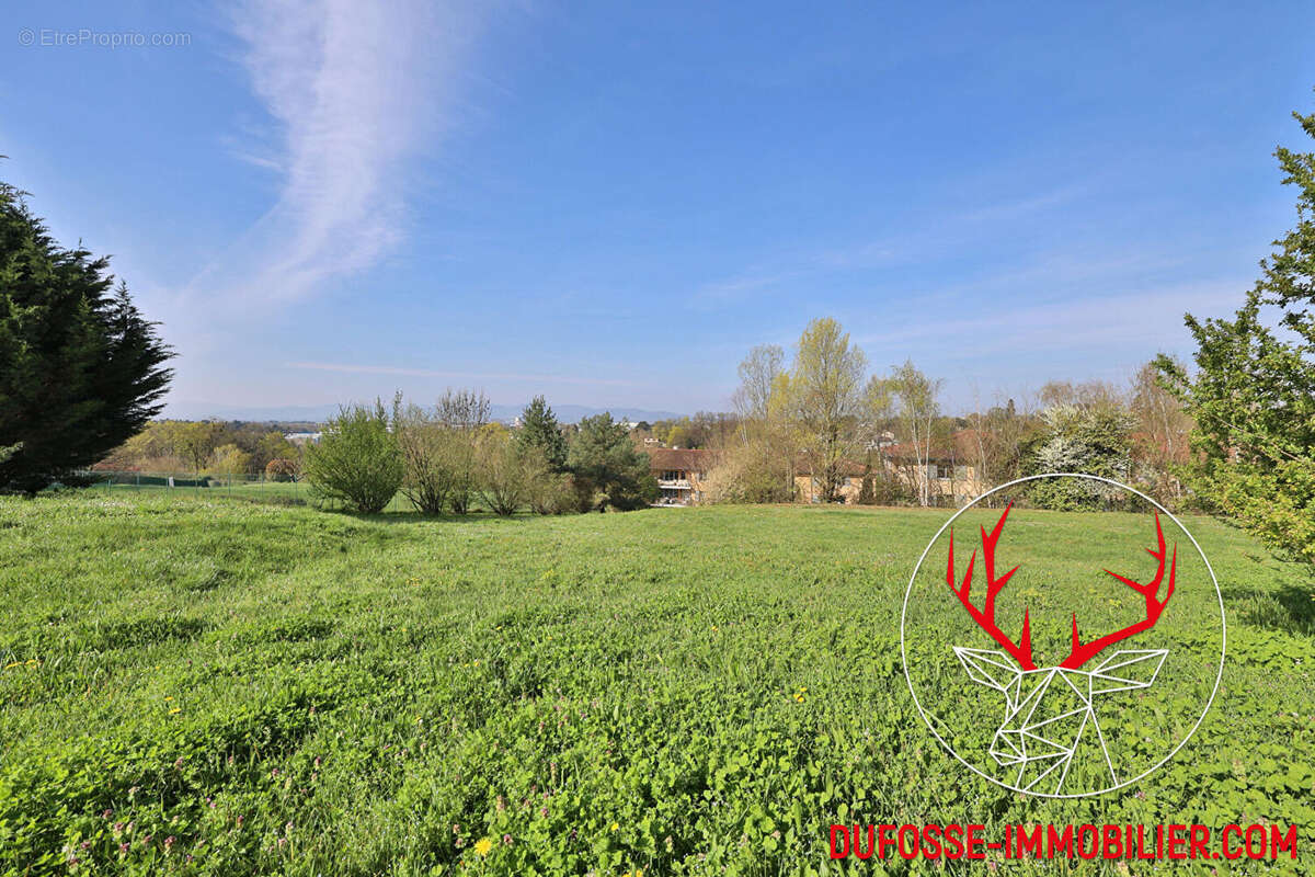 Appartement à SAINT-DIDIER-AU-MONT-D'OR